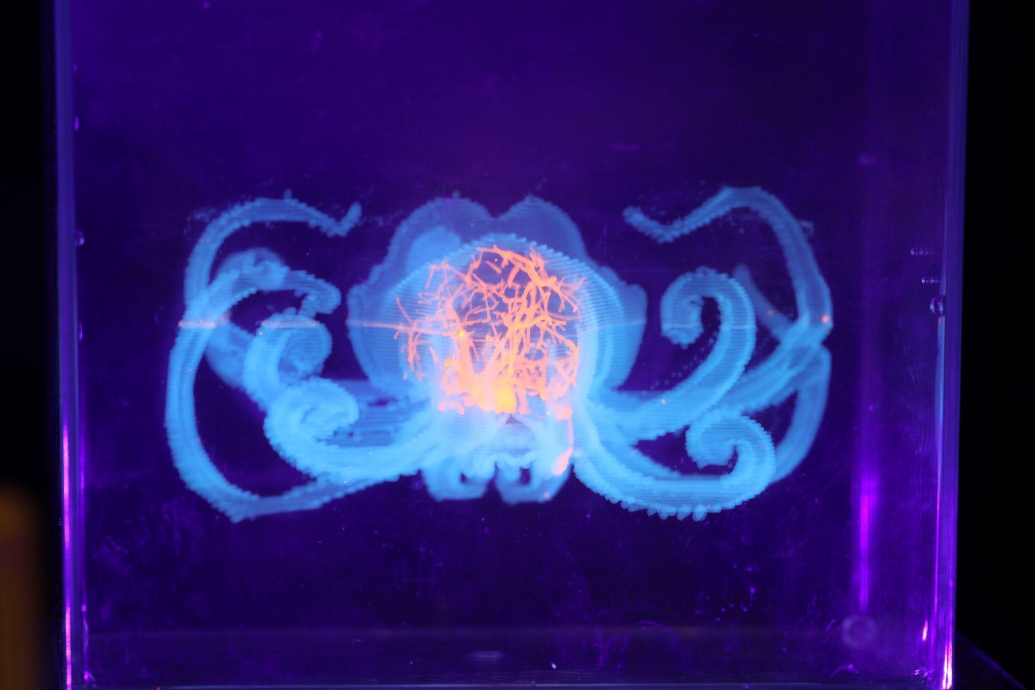 The cuttlefish print seen head-on, arms curling outward around a glowing orange core.