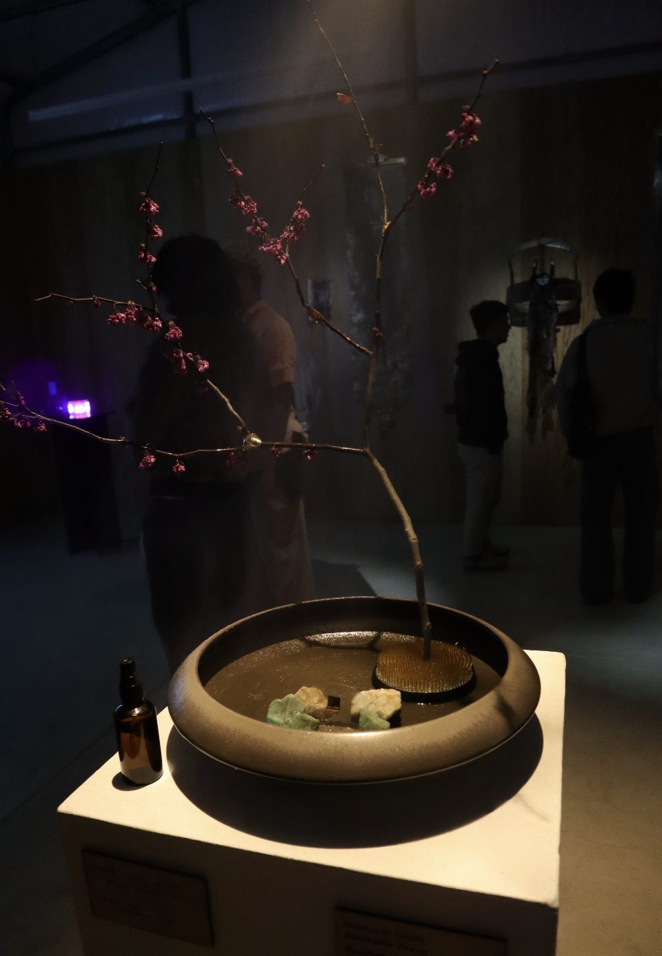Synthetic Cesia in the gallery: a flowering branch in a bronze bowl on a white plinth, with an amber bottle beside it.