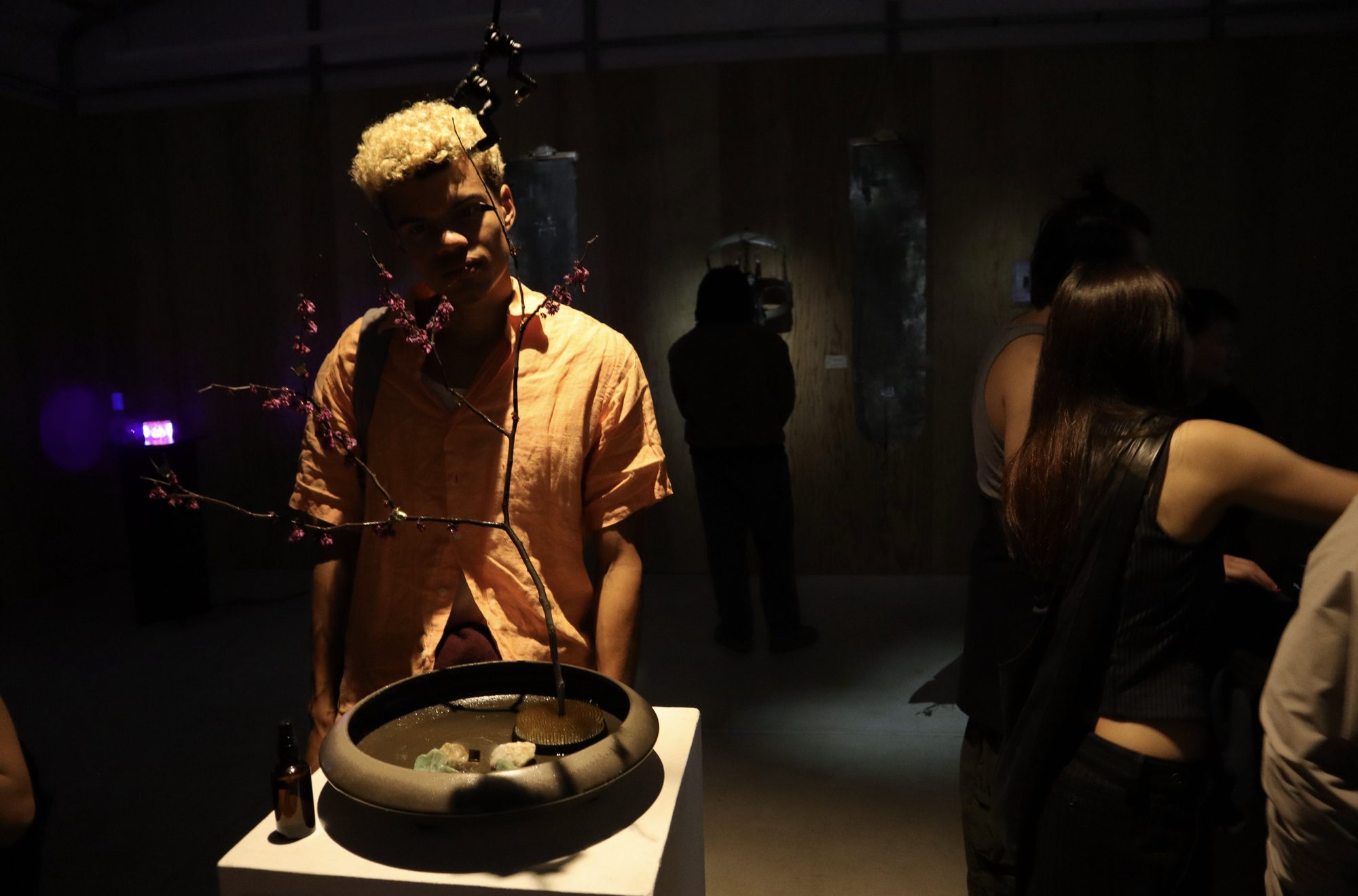 A visitor stands behind the bronze bowl and branch of Synthetic Cesia, other visitors around a projection behind.