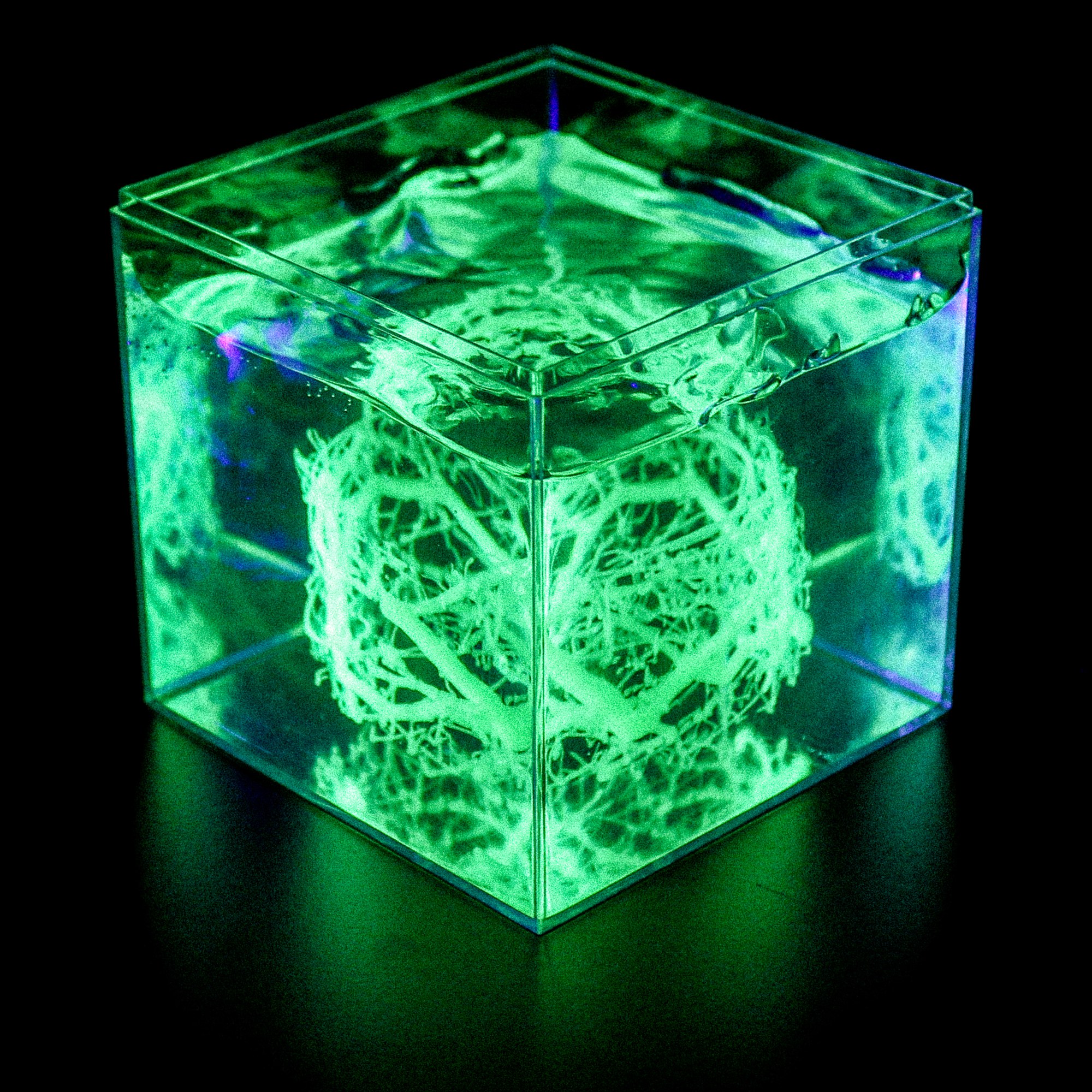 A clear cube glowing green under ultraviolet light, a dense network inside.